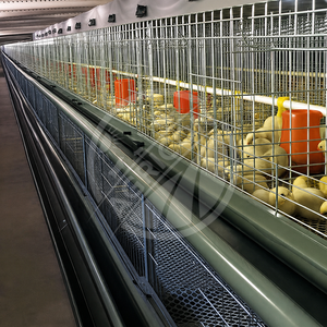 Nuevo Jaula de Cría Tipo H Galvanizada en Caliente de 3-4 Niveles, Equipo Automático para Aves de Corral, para <span class=keywords><strong>Pollitos</strong></span> de un Día, Cría de 1 a 110 Días - Product Image 4