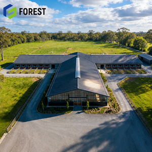 Pabellón Ecuestre Prefabricado de Acero de Gran Escala, 60x120 pies, Profesional, para Todo Clima, con Precio Directo de Fábrica - Product Image 1