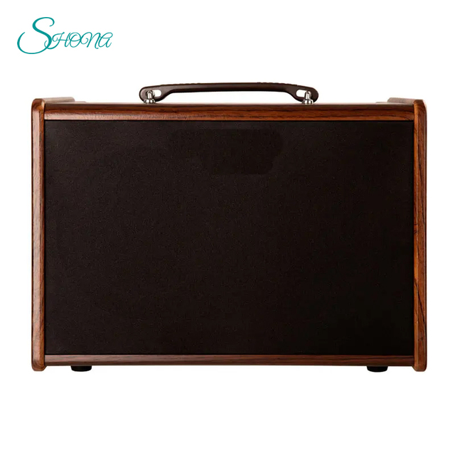 Acoustic Guitar Amp