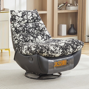 Capsule Style Single Sofa Chair Removable Washable Cover Tilting Living Room Bedroom Balcony Use - Product Image 4