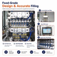 Machine d'emballage entièrement automatique multi-voies à scellage 4 côtés pour sachets de granulés d'assaisonnement MSG saveur poulet