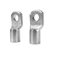 Usine moins chère SC25-6 SC35-10 SC50-6 SC70-6 SC95-6 chaussure de câble de cosse de câble en cuivre SC avec certificat CE
