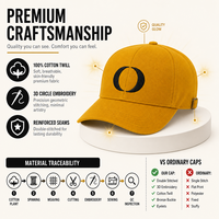 Gorra de Béisbol Clásica Estructurada Ajustable de Algodón con Logotipo 3D en Relieve, Moderna, al por Mayor, Personalizada de Fábrica, Bordada