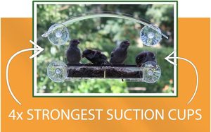 Nhà Acrylic chim nhà cửa sổ rõ ràng chim ăn với cốc hút mạnh mẽ cho bên ngoài chim trung chuyển - Product Image 2