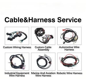 تسخير الأسلاك العالمي المخصص ، التجميعات الصناعية لدراجة نارية السيارات للأجهزة الإلكترونية المنزلية - Product Image 2