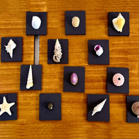 Aimants de réfrigérateur en coquille de conque naturelle, faits à la main, style méditerranéen, souvenir sur le thème de l'océan, provenant de Chine