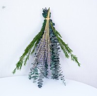 Feuilles d'eucalyptus séchées avec tiges de lavande en lot, en vrac, pour arrangements floraux de mariage, décoration intérieure, verdure, vente en gros d'usine OEM