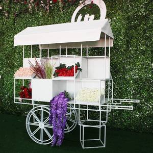 Evento Boda Jardín Decoración al aire libre Accesorio fotográfico Floristería Exhibición Soporte de flores Estante - Product Image 2