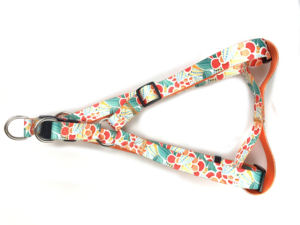 カスタム耐久性ポリエステルウェビングプリントデザインサービスHプラスチックバックル付きドッグストラップハーネス - Product Image 4