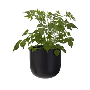 Nordic Rustieke Home Hotel Decor Muur Gemonteerde Opknoping Sappige Kruid Planter Keramische Bloempot