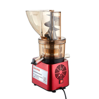 Commerciële Vruchtensapverwerkingsmachines Maken Fruitsapmachine