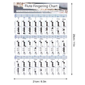 Tabla de <span class=keywords><strong>Acordes</strong></span> <span class=keywords><strong>para</strong></span> <span class=keywords><strong>Flauta</strong></span> de 28x21 cm, Ayuda Didáctica <span class=keywords><strong>para</strong></span> Principiantes, Accesorio <span class=keywords><strong>para</strong></span> Instrumento Musical - Product Image 3