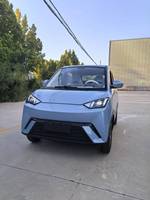 Voiture électrique Seagull Hatchback EV haute performance