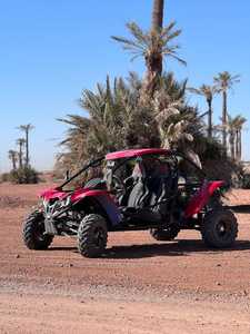 UTV 2025 de 200cc, 4 Plazas, Nuevo Diseño Todoterreno, 2WD, 59kW, Motor Automático de 4 Tiempos, Certificado EPA, Combustible Diésel/Gasolina - Product Image 3