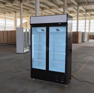 Réfrigérateur Vitrine Verticale 300L, Meilleure Vente, Électrique, Économique, pour Crèmes Glacées et Boissons, Congélateur de Présentation - Product Image 4