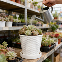 Plateau de pot de fleurs en résine plastique tressée durable avec trou de drainage, design traditionnel, pour orchidées d'intérieur, plantes grimpantes et succulentes