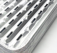 Feuilles de cuisson jetables pour barbecue en feuille d'aluminium linéaire pour pique-nique, camping et cuisine en plein air