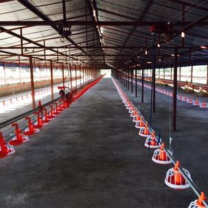 Sistema de bebedero automático para aves de corral, tipo <span class=keywords><strong>Plasson</strong></span> y Lubing - Product Image 6