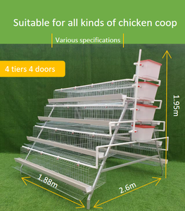 Jaula para Gallinas <span class=keywords><strong>de</strong></span> Granja Avícola al Mejor <span class=keywords><strong>Precio</strong></span> con Recolector Automático <span class=keywords><strong>de</strong></span> Huevos, Jaula <span class=keywords><strong>de</strong></span> Cría <span class=keywords><strong>de</strong></span> Pollos para Cría Plana <span class=keywords><strong>de</strong></span> Aves <span class=keywords><strong>de</strong></span> Corral - Product Image 3