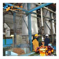 Automatische Grote En Middelgrote Palmolieverwerkingsmachine Prijs In Nigeria