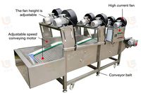 Geavanceerde fruit- en groente-droogmachine met bubbelreiniging en luchtdroging voor dadelpalmen, appels, kersen en tomaten.