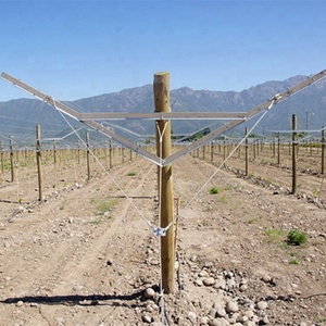 Langlebiges verzinktes Stahl-Metall-Trellis-System für Weinplantagen, Y-förmige offene Giebelpfosten, silberfarben, umweltfreundlich - Product Image 5