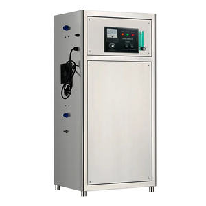 Piscina aguas residuales comercial plasma frío <span class=keywords><strong>spa</strong></span> sauna agua ozonizador 10g generador de ozono con concentrador de oxígeno para piscina - Product Image 3