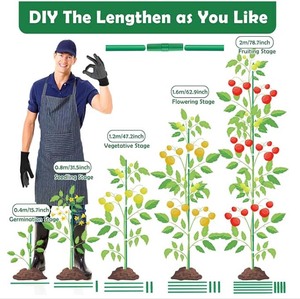 Tuteurs en fibre de verre pour plantes d'intérieur et d'extérieur, 3ft, 4ft, 5ft, 6ft, 7ft, pour tomates, légumes, fournitures de jardinage, bâtons de soutien - Product Image 4