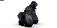 Ballon publicitaire gonflable personnalisé Gorille King Kong pour la décoration d'événements en plein air, animal gonflable géant promotionnel