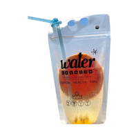 Sachets jetables personnalisés en plastique PE pour boissons de jus avec trou de paille Emballage de boisson alimentaire liquide à l'eau claire