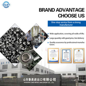 หมอนบล็อกแบริ่งที่เป็นของตนเองตลับลูกปืน Ucfu210 Ucp208แบบ ucfc Ucp215 Ucp216 Ucp218 Ucp219แบริ่ง Ucp220 - Product Image 6