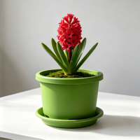 Pots de plantes en plastique PP durables avec trous de drainage, capacité de 1,99 L, style moderne pour une utilisation en intérieur/extérieur, pour les fleurs et les plantes vertes