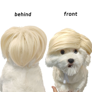 Nouvelle Perruque Dorée Inspirée pour Animaux de Compagnie, Universelle pour Chiens et Chats, Coiffure Amusante et Drôle pour Halloween et Fêtes, Vente Chaude - Product Image 3