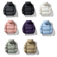 Veste imperméable de sport personnalisée OEM pour hommes Trench-Coat d'extérieur avec fermeture éclair épaissie Capuche chaude Manteaux en duvet de grande taille Vente en gros