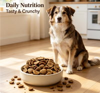 ARLIORCH Nourriture sèche pour chiens à haute teneur en protéines, sans céréales, au saumon et au poulet, avec oméga-3 et oméga-6 pour les poils ternes et les poils brillants, toutes races