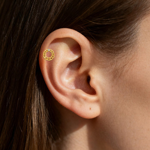 Boucles d'oreilles clous en titane, forme dauphin et nuage, en alliage de titane G23 de qualité médicale, bijoux de piercing unisexe, clous d'oreilles tendance - Product Image 2