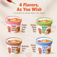 Quick Ready Cumin Pepper Beef Instant Rice Bowl Chewy Sauce Peanuts Veg Portable Bulk OEM Wholesale Manufacturer Export