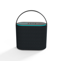 Haut-parleur portable 2.1 canaux 50W de puissance de crête, étanche IPX5, en plastique, avec lumières LED RGB, sangle réglable, basses profondes, passif