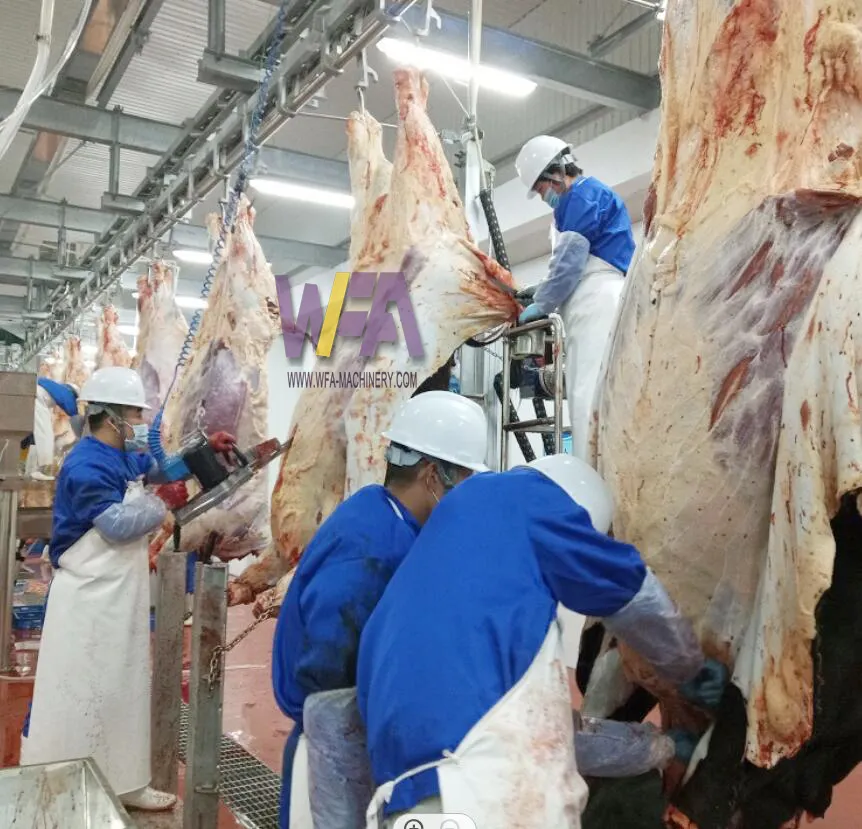 Trilho de remoção de equipamentos de abattoir, equipamento de tratamento de carne por dia 100 gado de abattoir