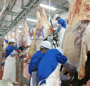 Equipo de Matadero Personalizado para 100 Ganado Diario, Equipo de Procesamiento de Carne, Riel Transportador para Sacrificio de Vacas - Product Image 1