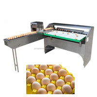Sortiermaschine für Eier größen mit Drucker/Eier klassifizierung maschine/handels üblichem Eier abscheider