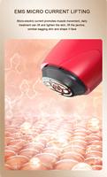 Appareil de beauté facial portable en ABS rouge/rose avec anti-âge et rajeunissement, garantie 1 an, compatible avec les prises US/UK/AU pour une utilisation à domicile