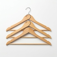 Cintre en bois personnalisé Étagère à chaussures en métal pour sacs de cuisine Armoire de salle de bain Magasins de mode Logo personnalisé inclus