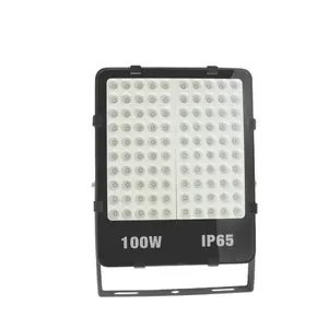 高品质户外防水 50 w 100 w 150 w 200 w led 舞台泛光灯圣诞投射灯