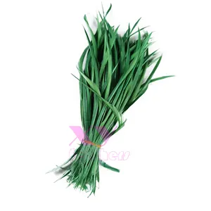 Offre Spéciale : Plumes de Canard Naturelles Économiques pour la Décoration - Product Image 1