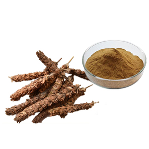 Polvere di Prunella Vulgaris all'Ingrosso 10:1, Estratto di Prunella Vulgaris, Estratto di <span class=keywords><strong>Spica</strong></span> Prunellae - Product Image 1