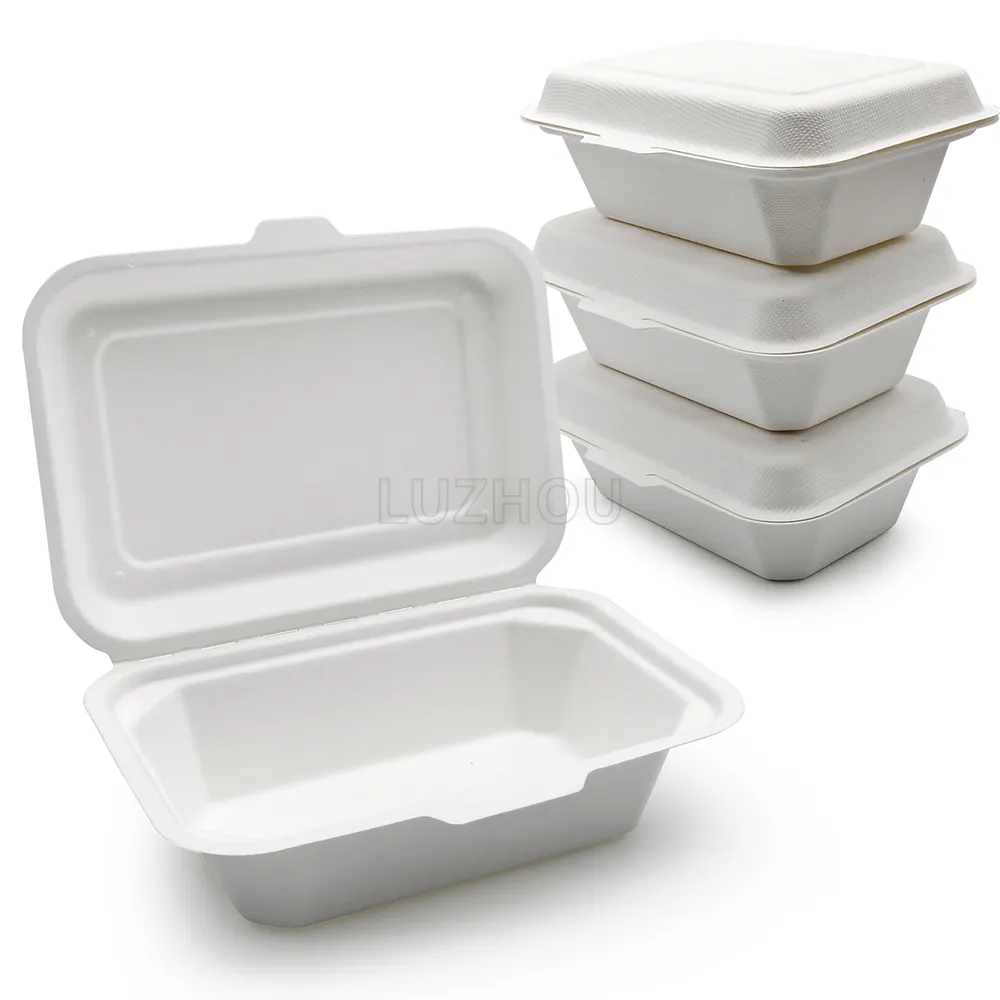 600ml 7.2" Waterproof Microwavable Compostable Sugarcane Paper Pulp Molded Fiber Clamshell Food Container Biodegradable