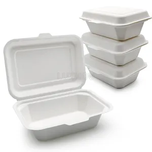 LuzhouPack 600ml Greaseproof Bagasse Biodegradable Sandwich Togo Container Take Away Food Packaging Paper Bento Lunch Box