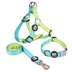 2025 INS populaire produits pour animaux de compagnie formation collares laisse copain ceinture chien harnais collier ensemble, nylon sangle chien harnais 3 pièces ensemble - Product Image 4