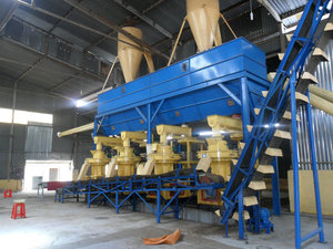 Mulino <span class=keywords><strong>Industriale</strong></span> per Pellet di Legno, <span class=keywords><strong>Pellettatrice</strong></span> Elettrica per Biomassa, <span class=keywords><strong>Pellettatrice</strong></span> per Legna da Ardere - Product Image 2